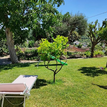 Il Giardino Apartment Barano d'Ischia Ngoại thất bức ảnh